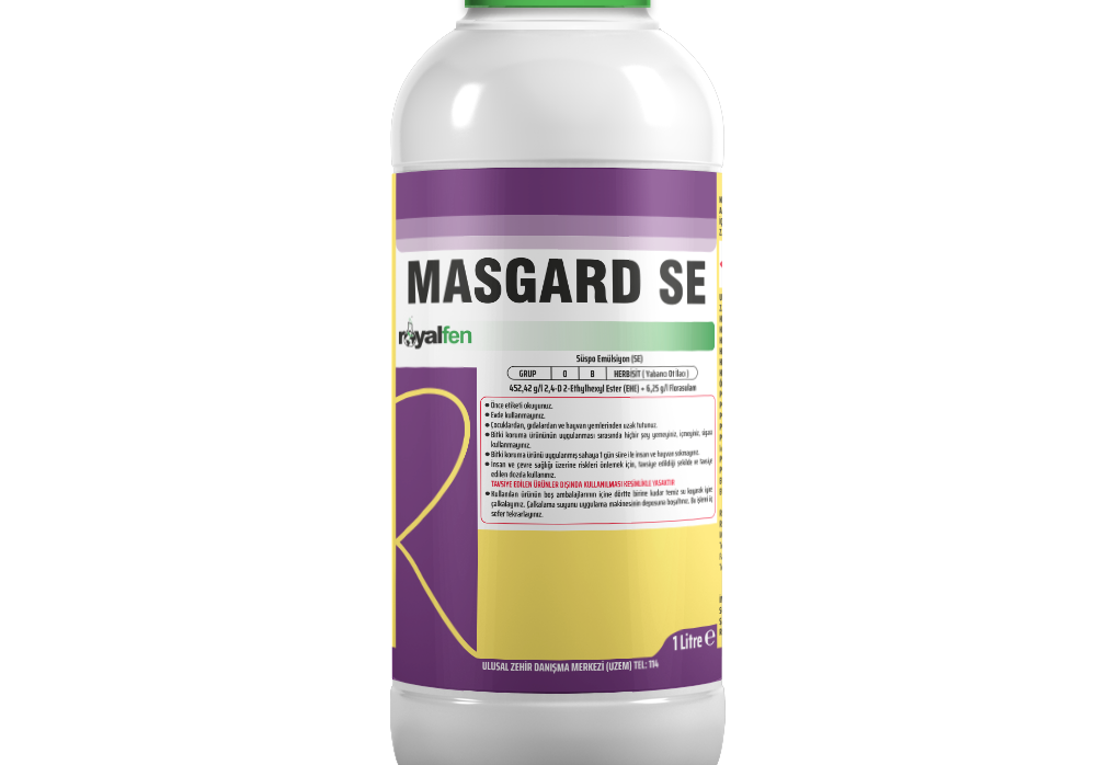 MASGARD SE
