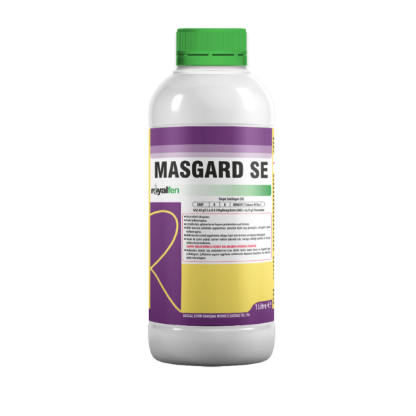 MASGARD SE