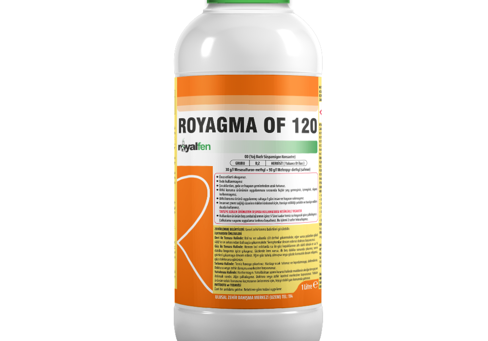 ROYAGMA OF 120