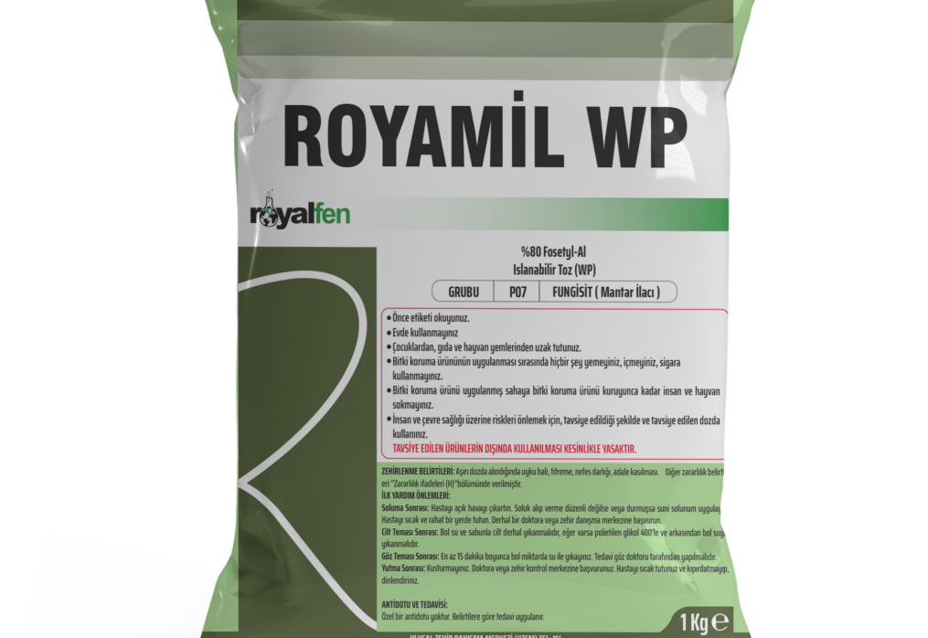 ROYAMİL WP