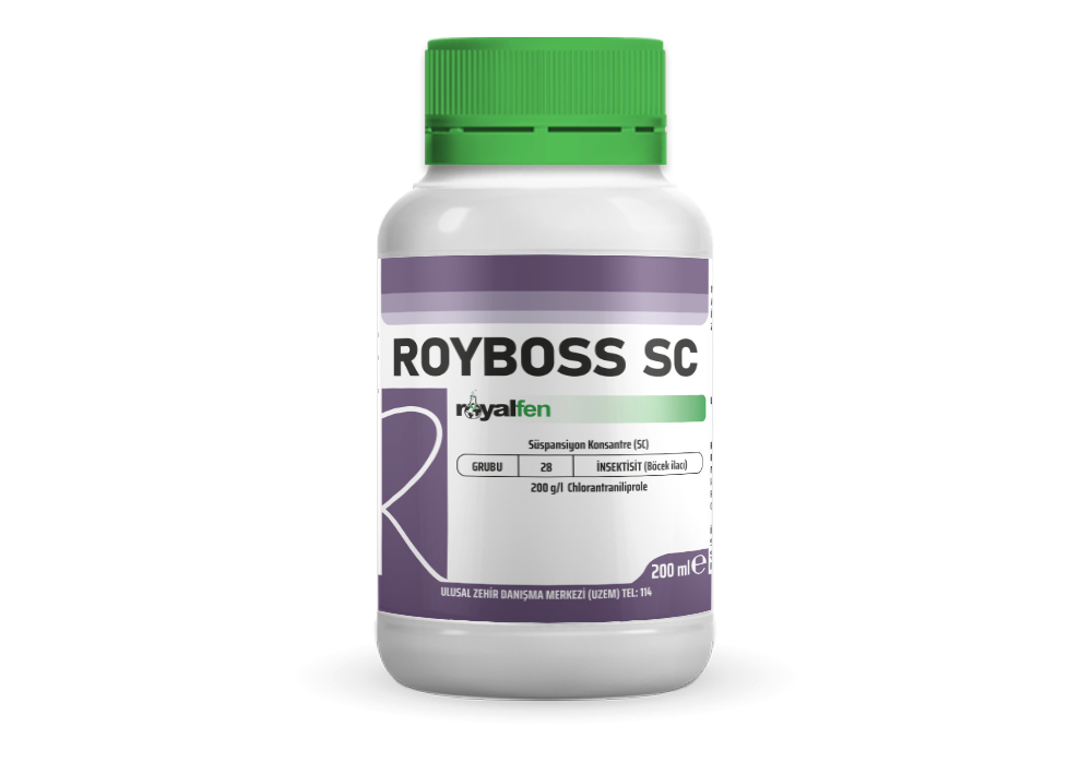 ROYBOSS SC
