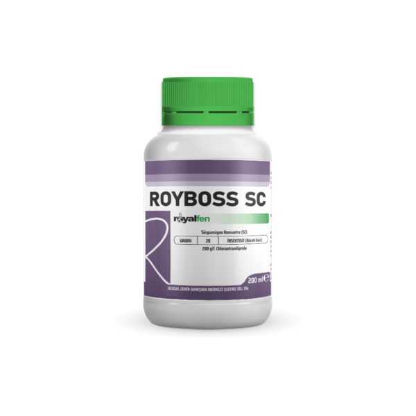 ROYBOSS SC