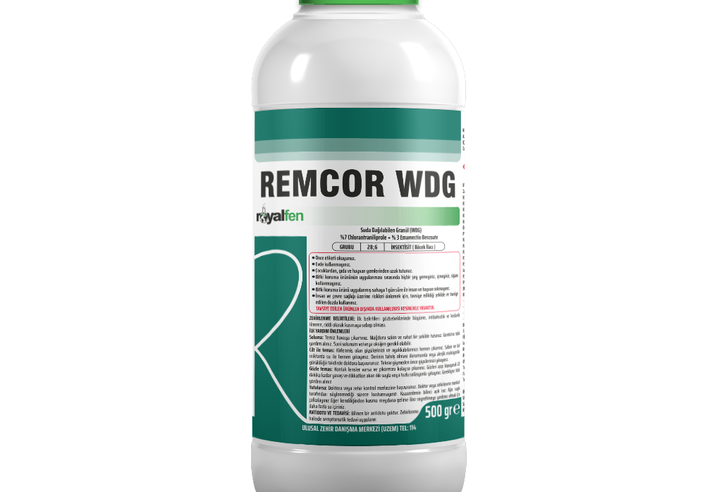 REMCOR WDG