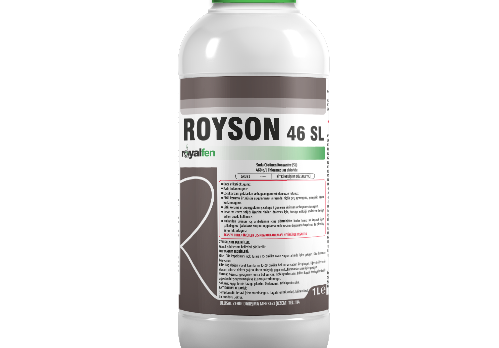 ROYSON 46 SL