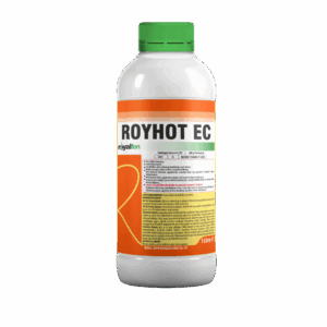 ROYHOT EC