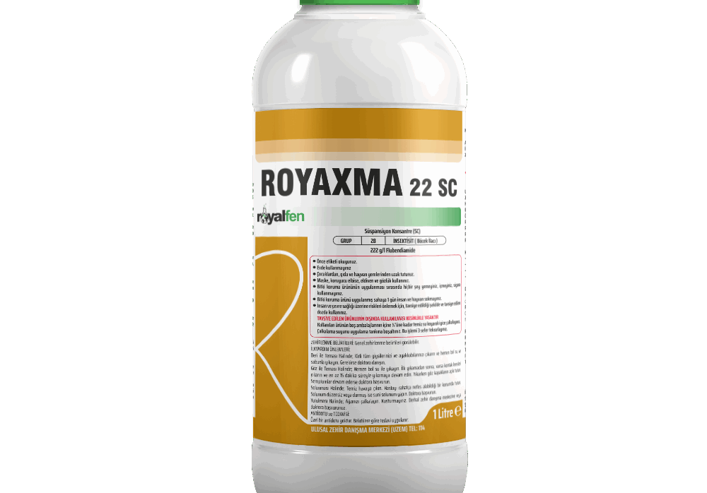 ROYAXMA 22 SC