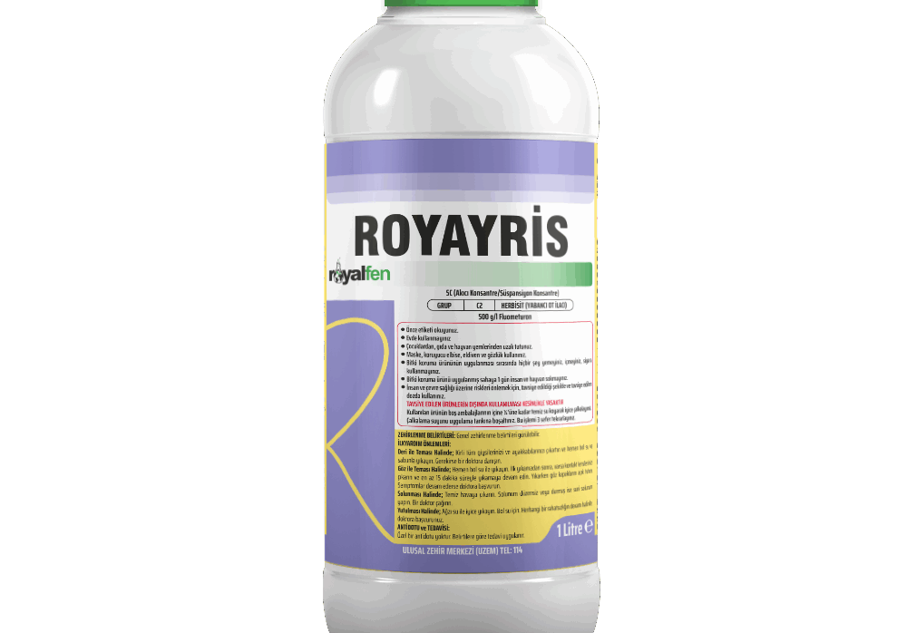 ROYAYRİS