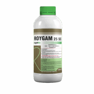 ROYGAM 25 SC