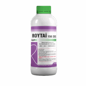 ROYTAİ 150 ZEC