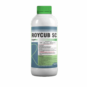ROYCUB SC
