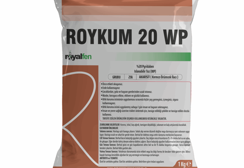 ROYKUM 20 WP