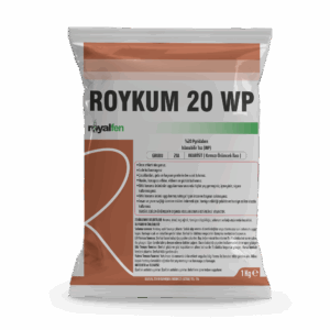 ROYKUM 20 WP