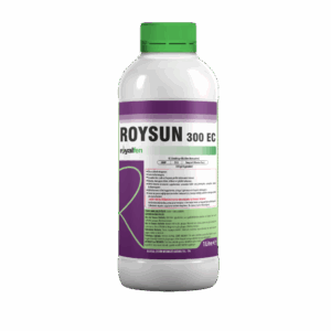 ROYSUN 300 EC
