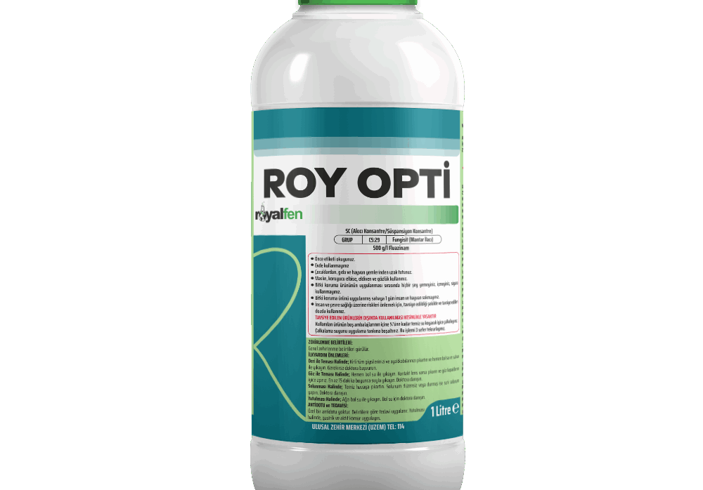 ROY OPTİ
