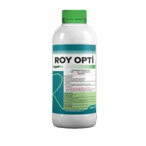 ROY OPTİ