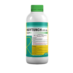 ROYTUNCH 375 SL