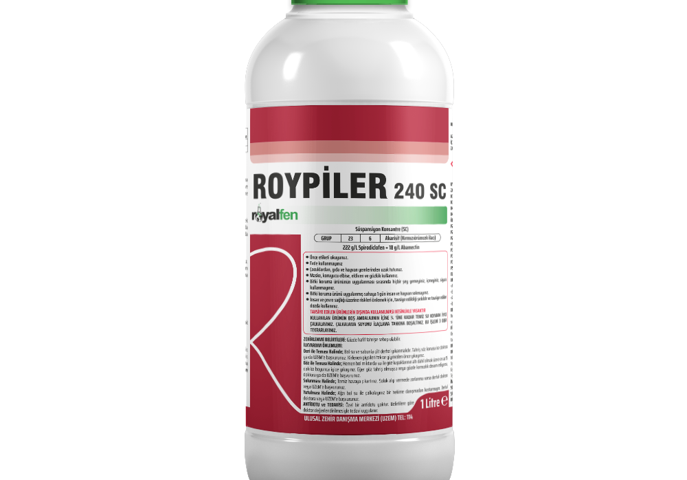 ROYPİLER SC