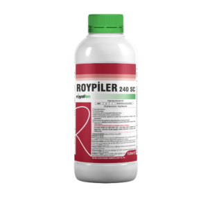 ROYPİLER SC