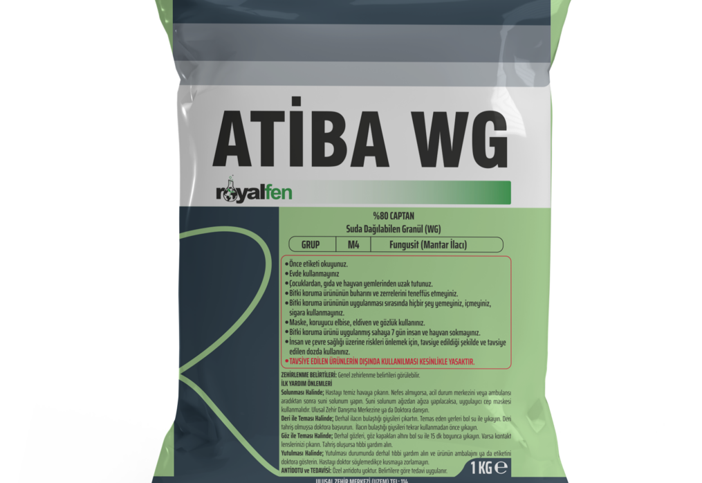 ATİBA WG