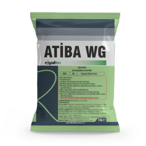 ATİBA WG